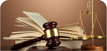 Assistência Técnica em Perícias